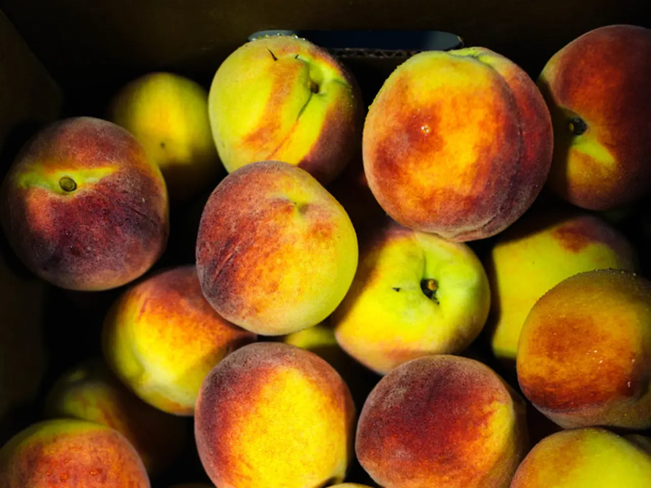 China's Efforts to Curb Coronavirus Proliferation Trigger Ongoing Waves of Impact