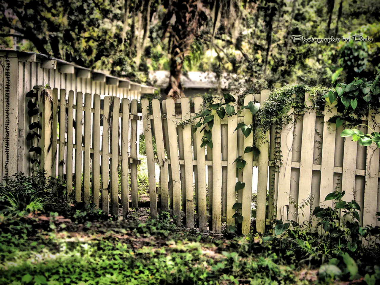 Seasonal color change's influence on psychotic patients during planting, monitored by biosensors