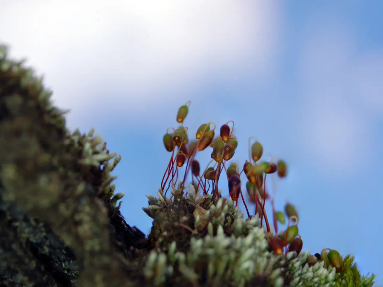 August Astonishments from NASA: Plan your stargazing for a bewitching encounter between Jupiter and...
