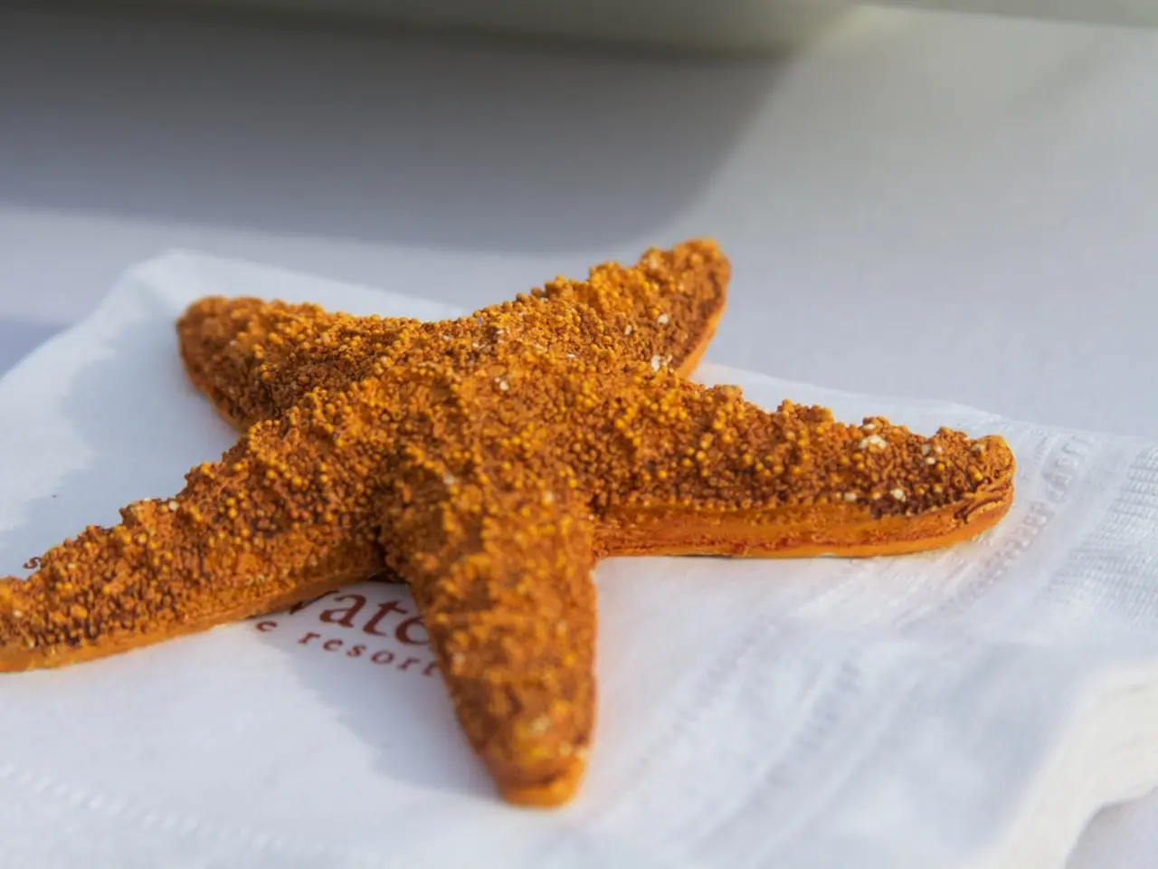 Liver Biopsy Exploration: Purposes, Hazards, Outcomes, and Further Details