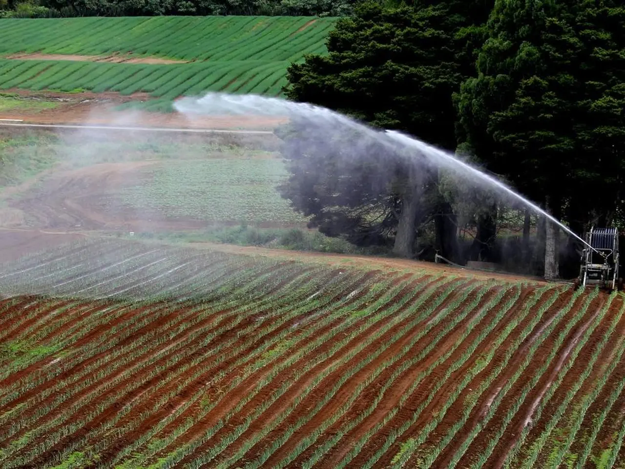 Enhanced Plant Growth and Nutrientrich Soil: The Role of Nitrogen Fixation in Farmers' Prosperity...