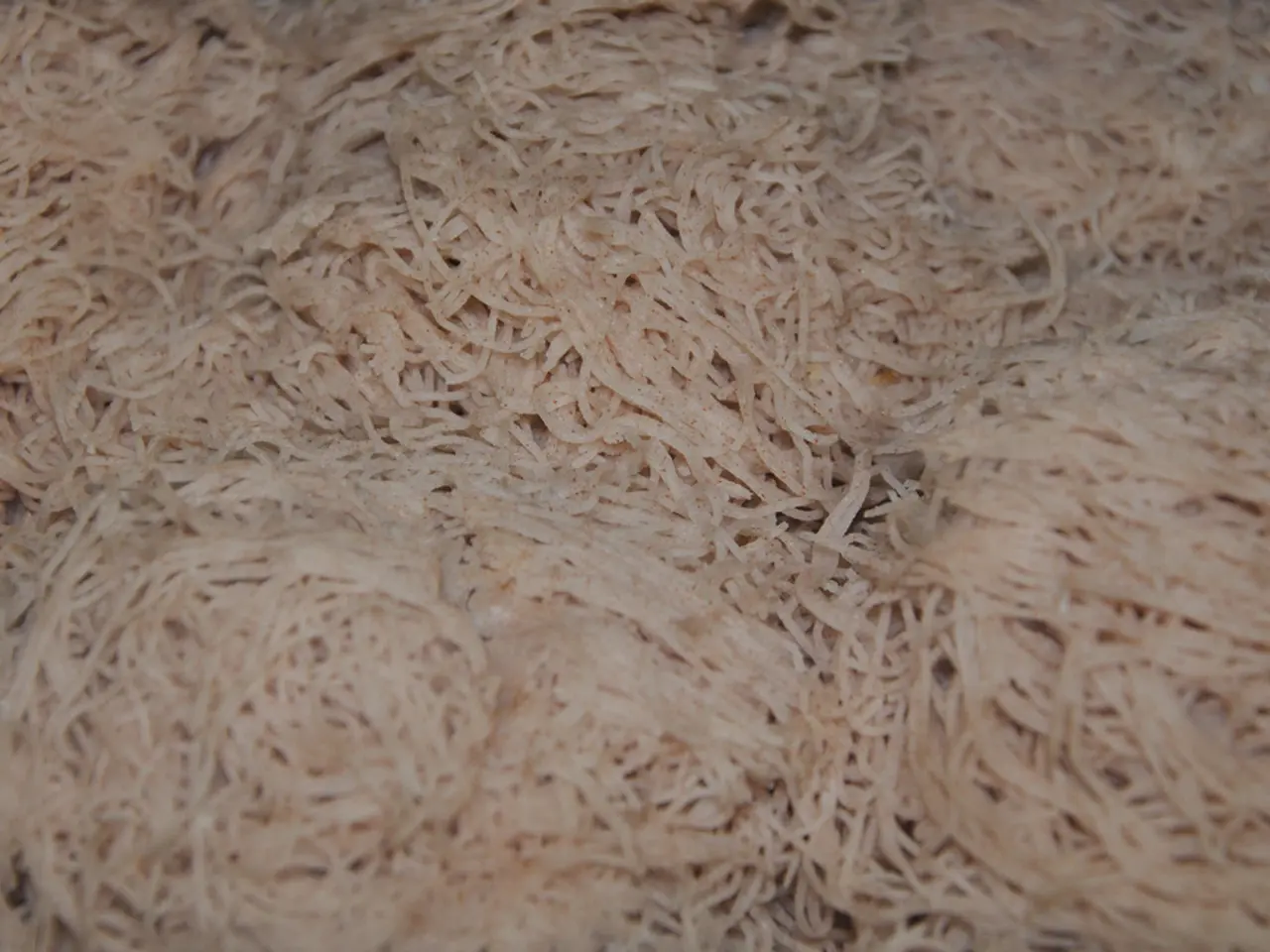 Low-Carb Substitutes for Pasta and Noodles: A Guide to 11 Options