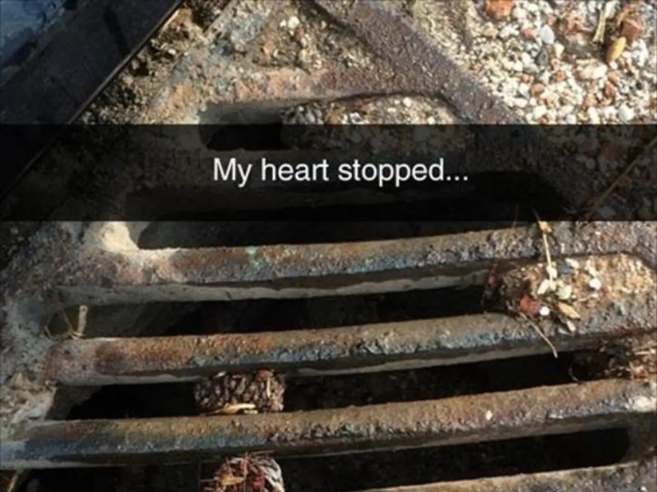 Cardiovascular Disease: Identifying Risk Factors, Implementing Preventive Measures, and Additional...