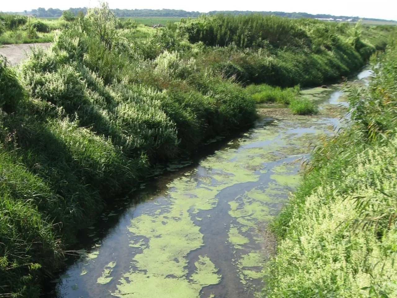 Recognizing Reliable Potable Water Sources for LEED Green Associates