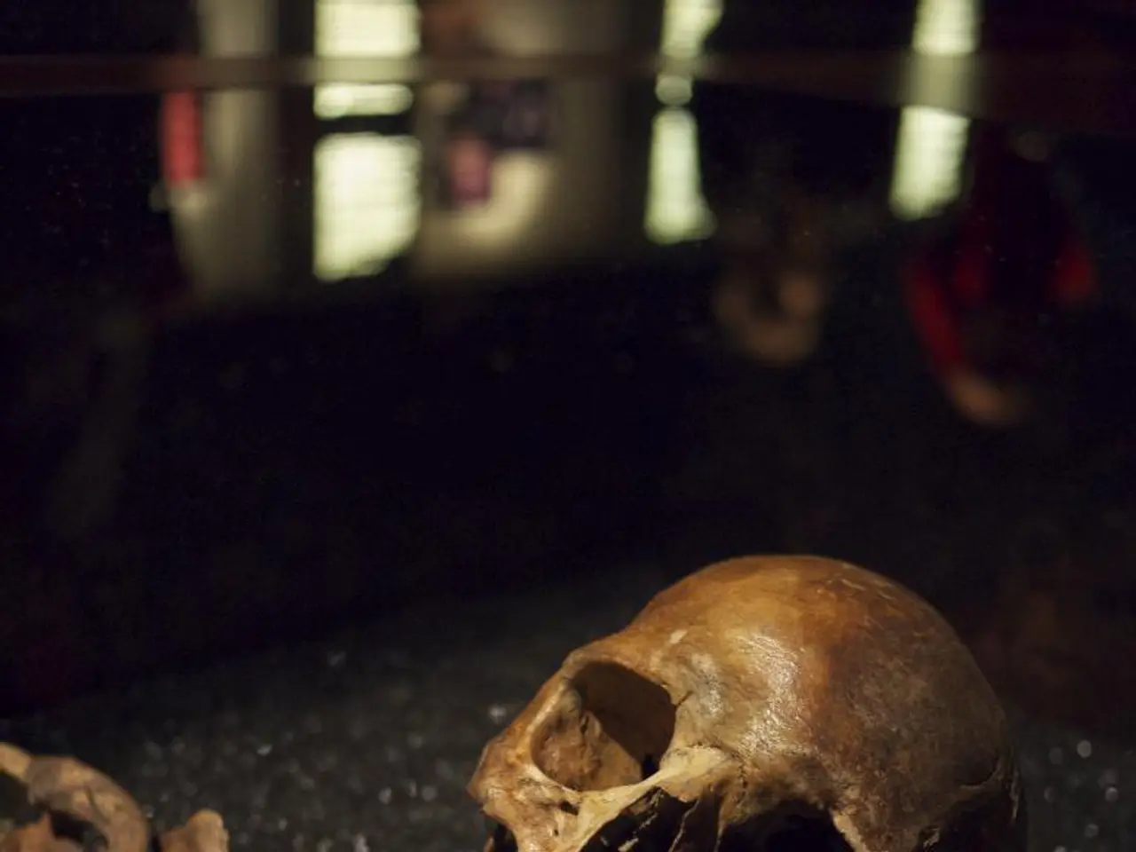 Frontal-Temporal Brain Deterioration: Signs, Remedies, and Root Causes