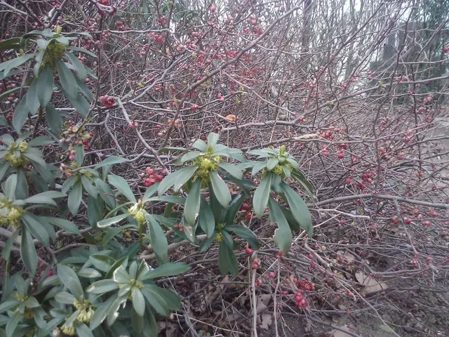 Right-sided headache: Root causes, implications, and speedy relief strategies