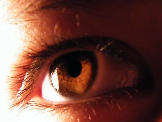 Timeframe for Applying Makeup After Botox Treatment: Crucial Tips