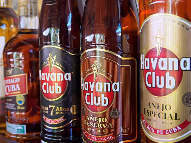 The link between weight loss resistance and stress: Exploring the gut-stress-fat relationship