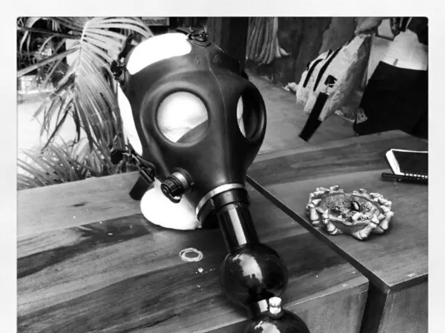 Indirect Bright Light: The Preferred Illumination Standard in Tropical Environments