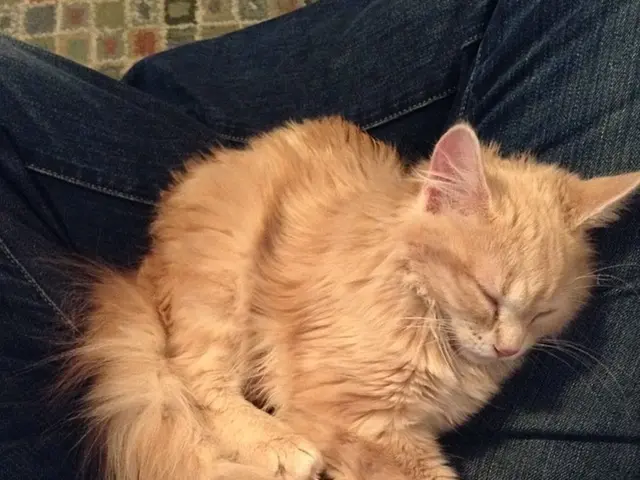 Struggling with drowsiness? Life Kit offers strategies for perfect napping.