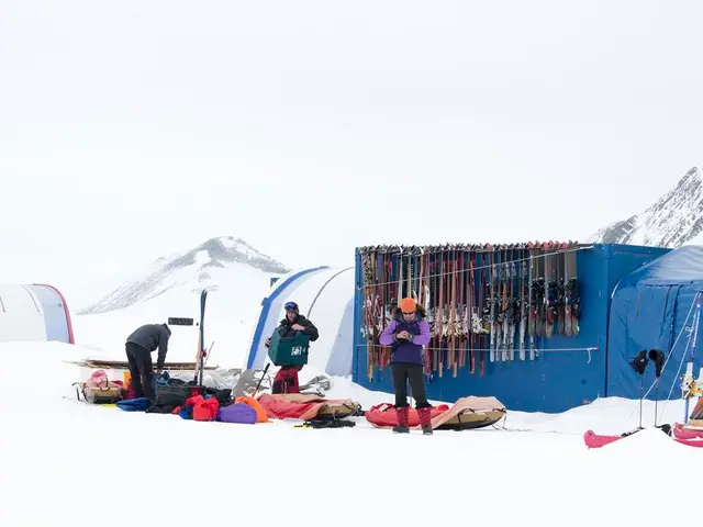 Eleven individuals, comprising six children, successfully extracted from a concealed Phoenix trail...