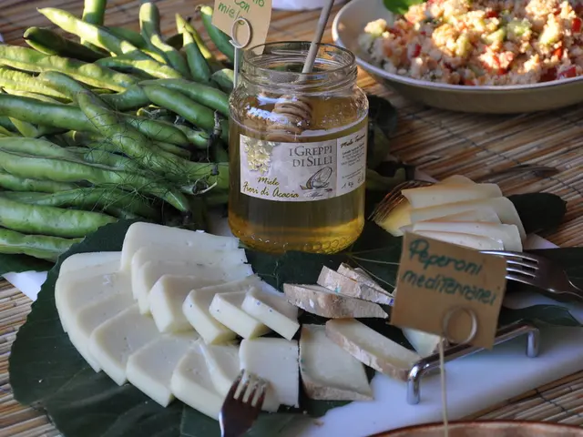 Benefits, Facts, and Research on Black Beans: An Overview of Their Health Significance