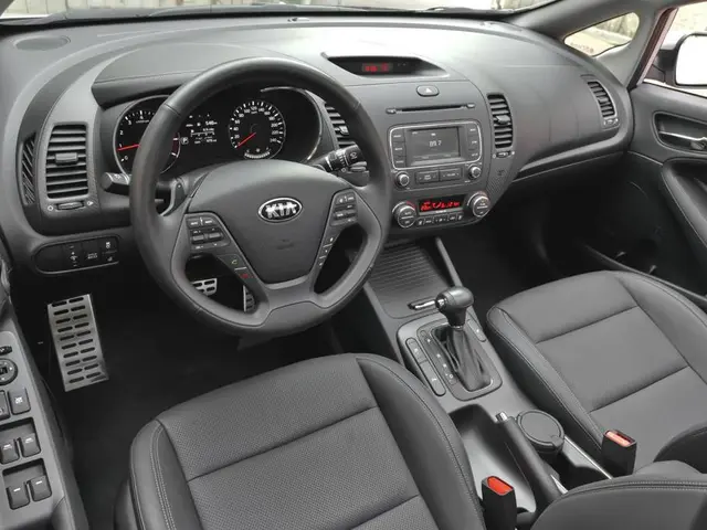 Empathy's Neural Foundation: Understanding How the Brain Grasps the Feelings of Others Elsewhere