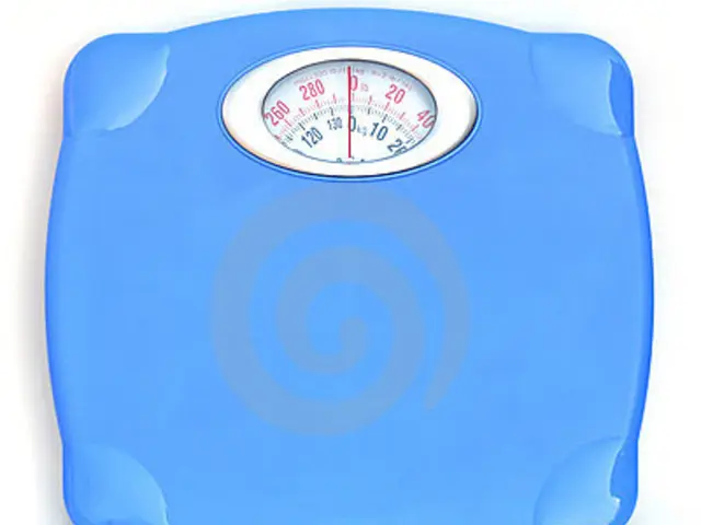 Women's Body Mass Index (BMI): Function and Insight into Health Status