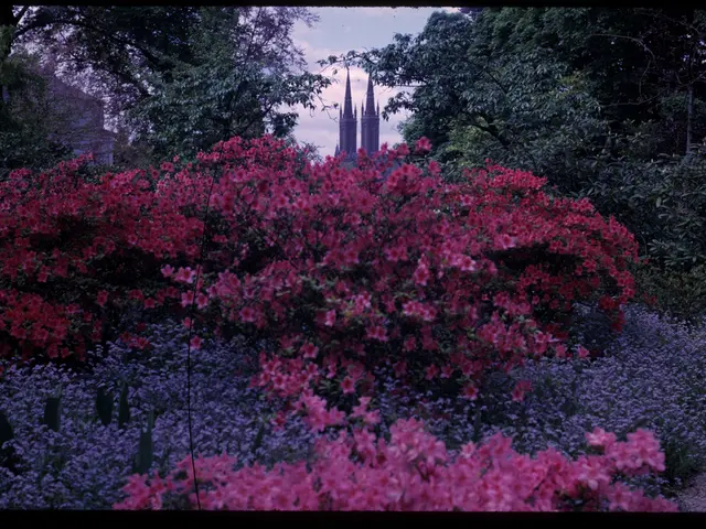 Nature's Diabetes Fighter: The Role of the Insulin Plant