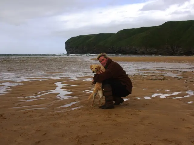 Exploring the Link Between Bipolar Disorder and Attention Deficit Hyperactivity Disorder (ADHD)