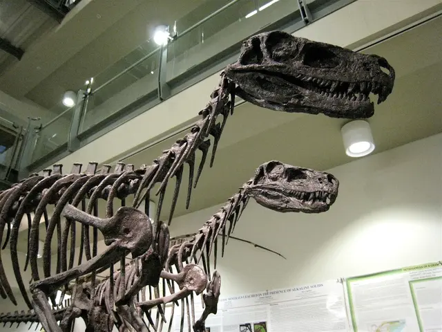 Scientists Calculate Tyrannosaurus Rex Bite Force Precision
