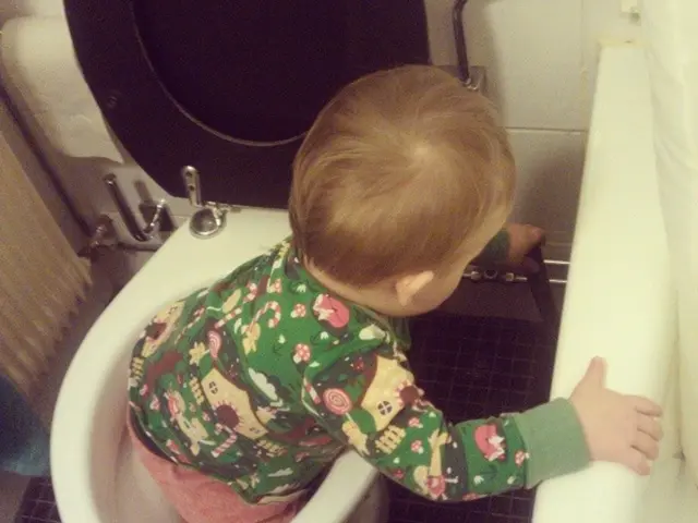 Rushing potty training with imminent deadlines deemed challenging