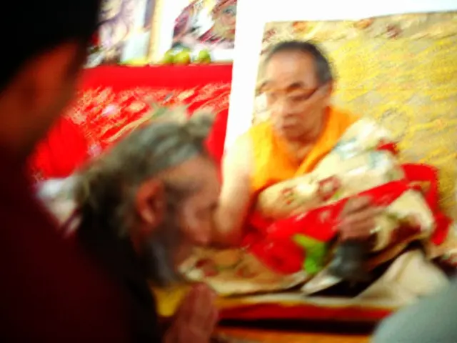 Kambo treatment efficacy: An exploration of its traditional usage, safety measures, and potential...