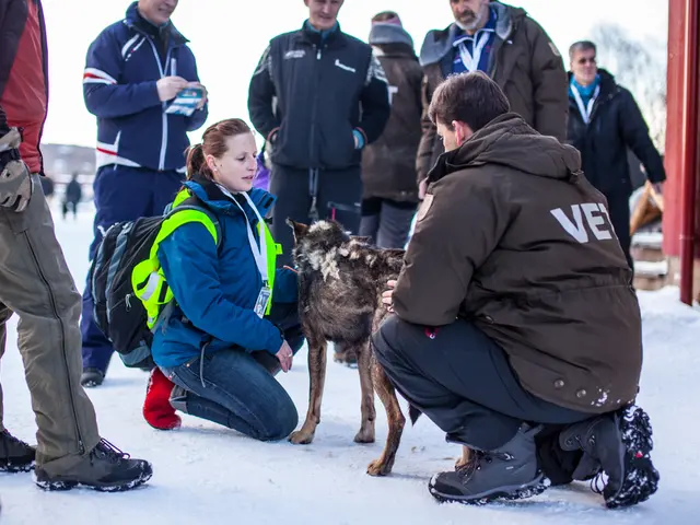 Psychiatric patient under suspicion for alleged ICE-related assault