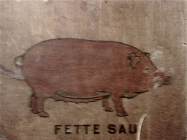 Human Transformations: Genetically Altered Pigs Manufactured for Human Organ Parts!