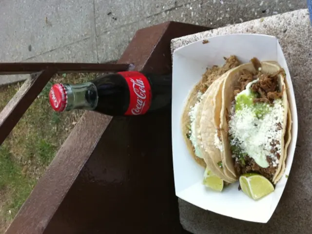 Low-Carb Diet for Vegetarians and Vegans: Optimal Food Choices and Meal Plan