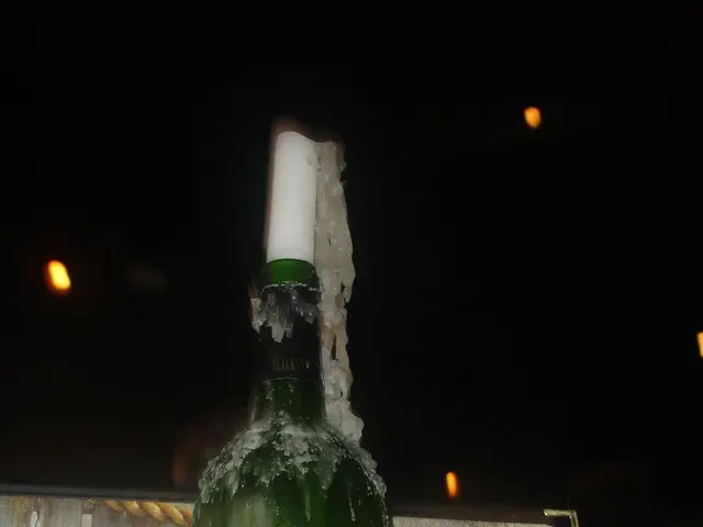 Is the Isagenix diet effective and secure?