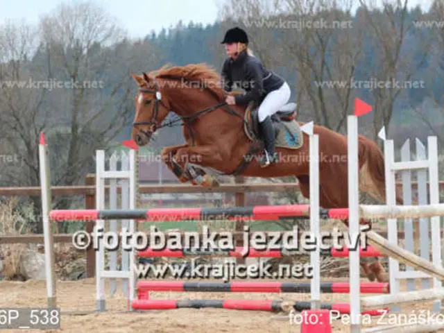 Ovarian tumor causes, manifestations, and remedial measures