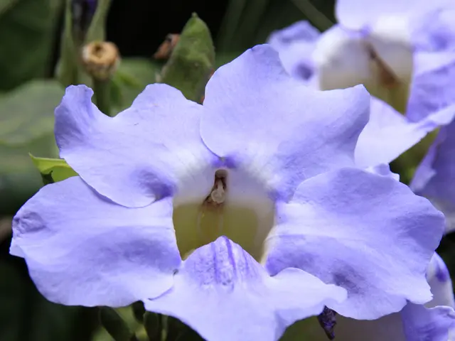 Daily blues: Origins, indicators, and strategies for managing them