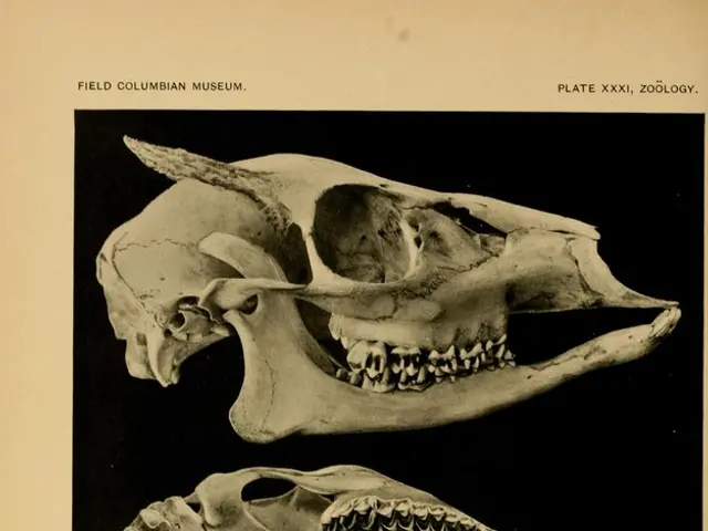 Exploring Life Beyond the DNA Molecule: Unveiling the Mysteries of a Novel Life Science