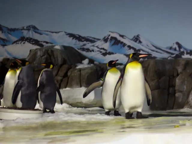 Rising Risks of Storms due to Melting Antarctic Ice: Crucial Information You Should Be Aware Of