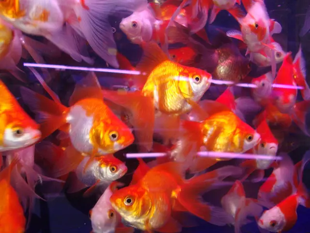 Sea safety: essential factors to consider before taking a dip