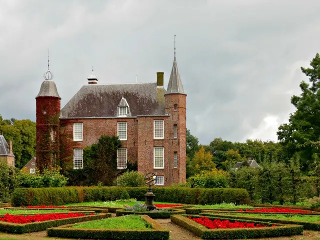 Effects of Environmental Elements on Brain Health and Aging Process