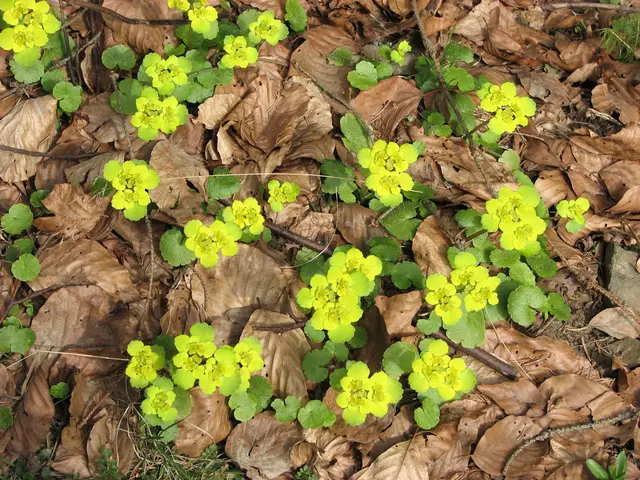 Soil Salt Levels: An Ally or Adversary for Plant Life?
