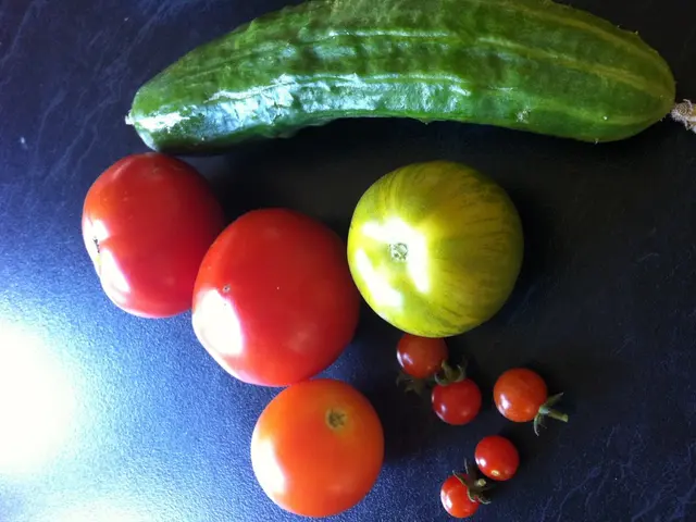 Evaluating Vegetable Quality Through °Brix: A Comprehensive Look at the Method