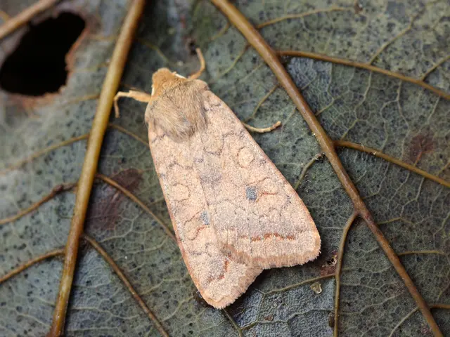 Pesticides Keeping Millions of Farmers Awake at Night