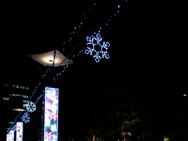 Tree Mortality From Lightning Exceeds Previous Estimates, According to Recent Studies