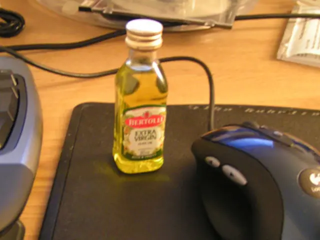 Neuroplasticity Boosted by Adventure: The Impact of Novelty on the Brain's Development