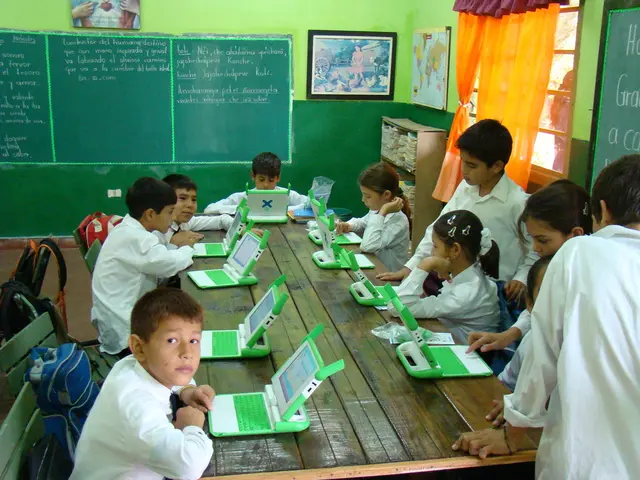 Tech Assistance for the Elderly: ten Initiatives Facilitating Technology Adoption Among Seniors