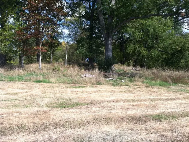 Monitoring soil moisture levels with Quantum Sensors