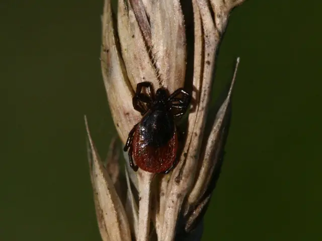 Soil Contamination by Mold: Identified Causes and Preventive Measures