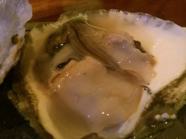 Raw oyster intake poses danger due to the looming threat of harmful Vibrio bacteria