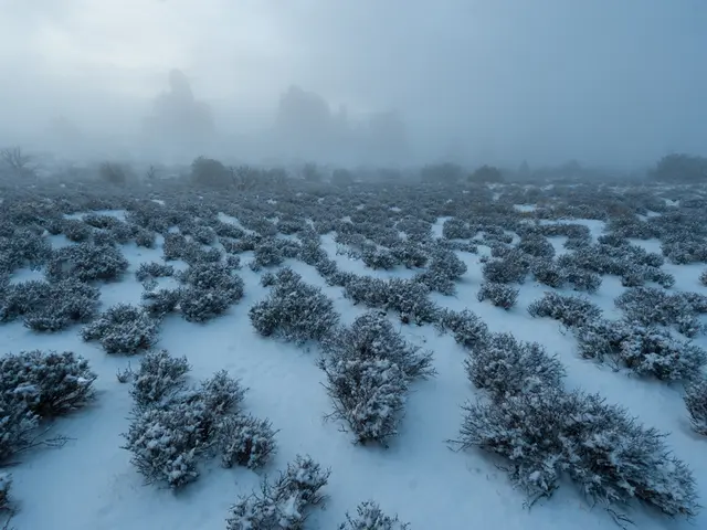 Covert Impact of Disorganization on Personal Health and Overall Well-being