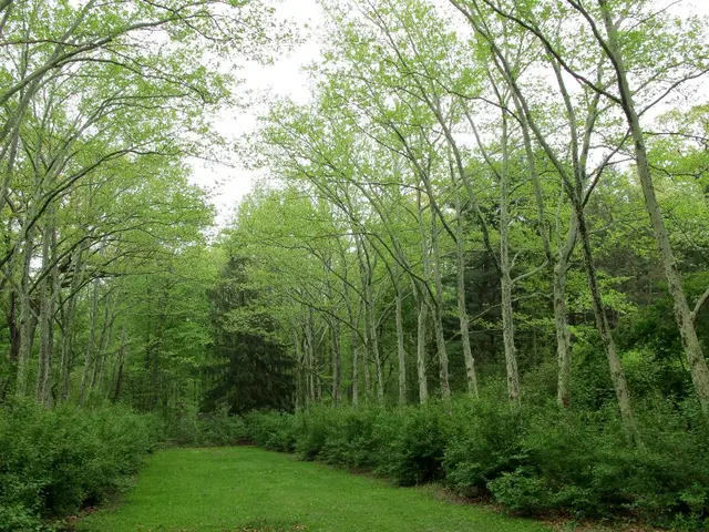 A vegan diet generates only approximately three-quarters of the environmental footprint compared to...