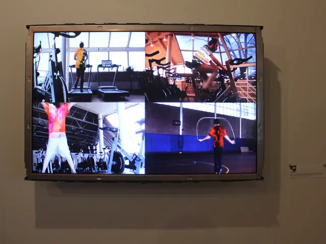 Consuming Television While Dining May Impact Digestion Processes