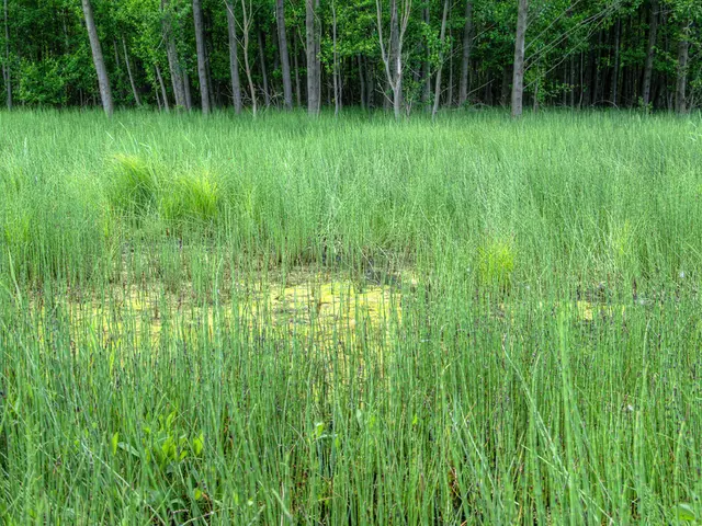 Farmworker Advocacy: Ensuring Rights and Welfare for Agricultural Laborers (Reader Correspondence)