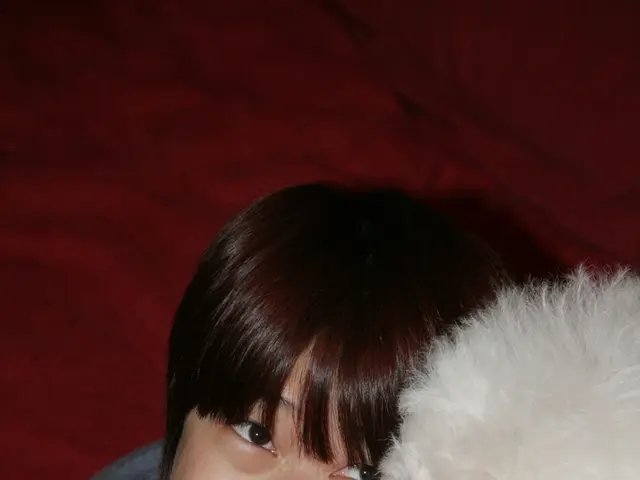 Exploring the Potential of Emotional Support Animals for Enhancing Your Mindfulness Exercise