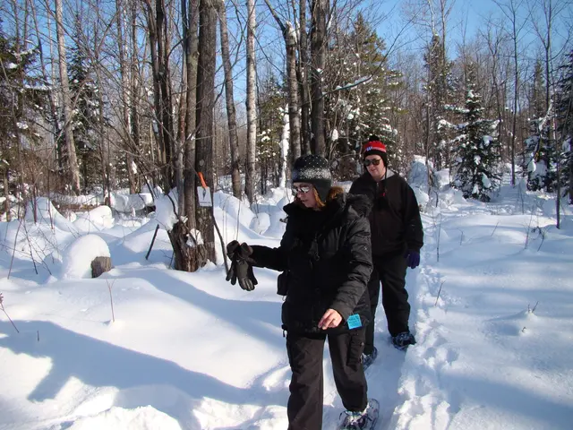 Eye Cold Compress: Advantages, DIY Recipe, and Additional Tips