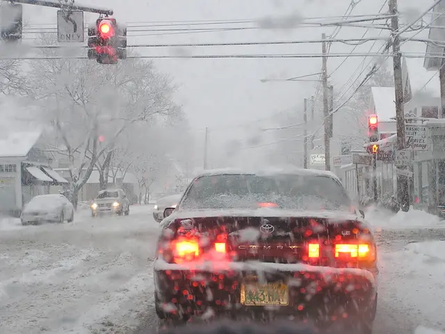 Essential: Holiday Insurance Warrants Your Attention This Festive Season