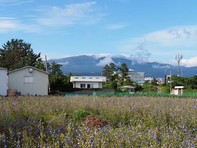 Researchers Unveil Method for Producing Alcohol from Ambient Atmosphere